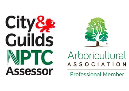 Tree Climbing and Aerial Rescue Course