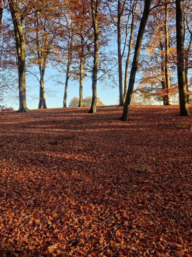 arb systems Taster days in arboriculture and forestry 1 1 1