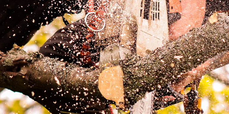 Aerial Chainsaw Course