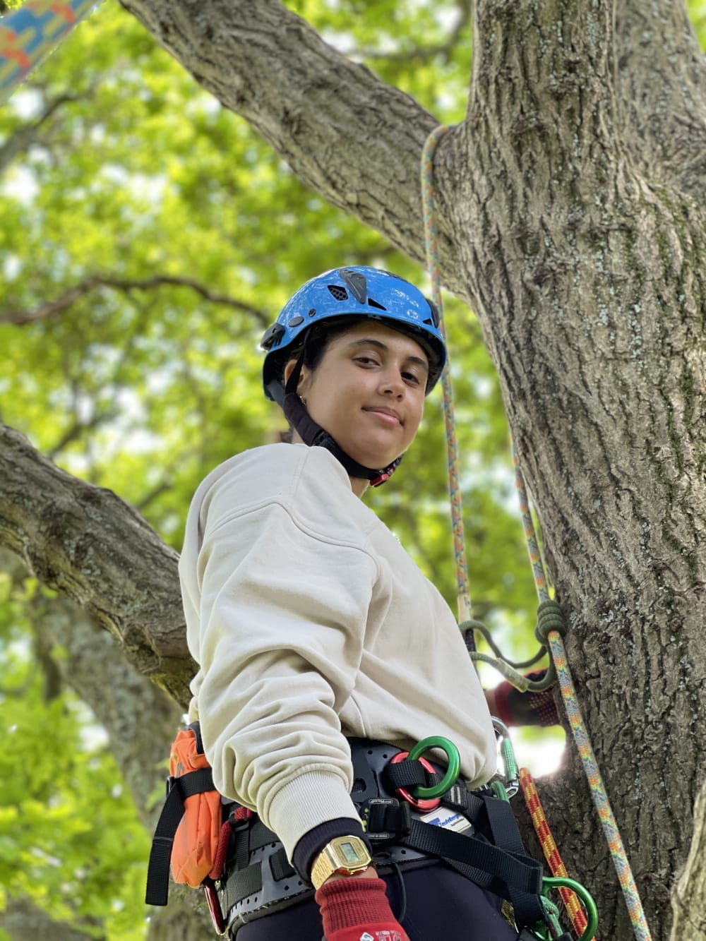women in arboriculture arbsystem blog 1