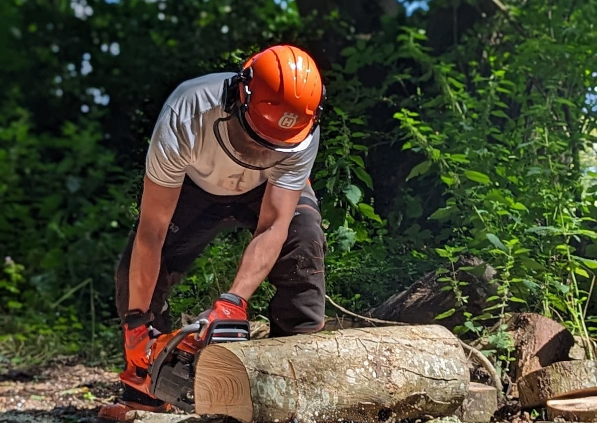 arbsystem blog what to expect on first day tree surgeon training img